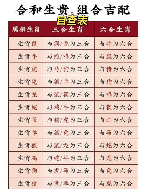 任五正确答案生肖,1357911任五组合