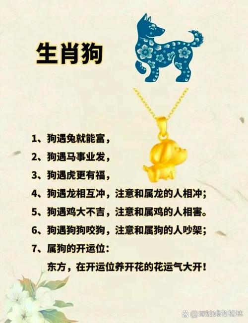 狗彘不如开过什么生肖,狗彘不如是什么生肖和数字