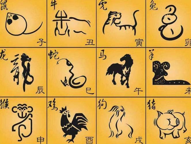 打一字是什么生肖,头在海里游泳尾在海里发光打一字是什么生肖