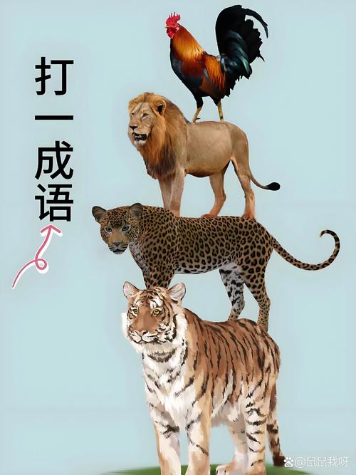独立的动物打一生肖最佳答案,独立的动物打一生肖最佳答案是什么