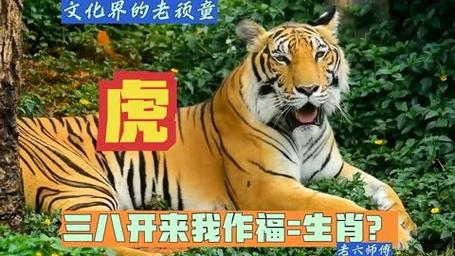 三八打一动物是什么生肖的简单介绍