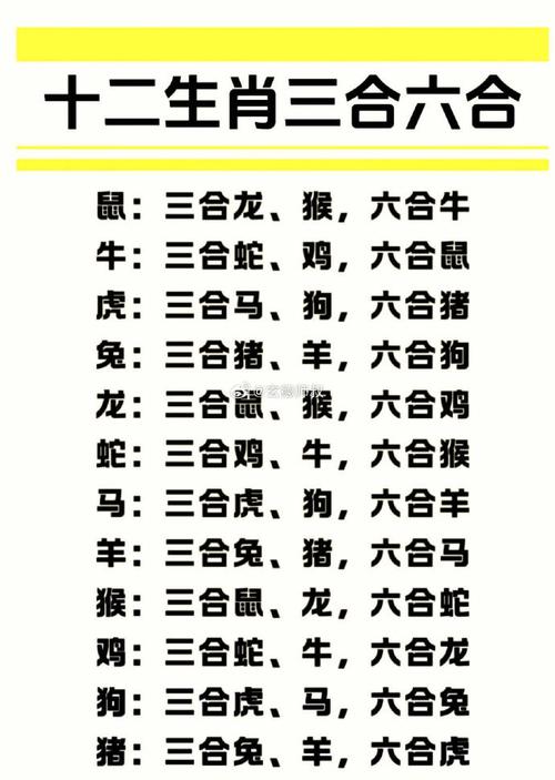得意的动物猜一肖正确答案,得意的动物是什么生肖告诉我