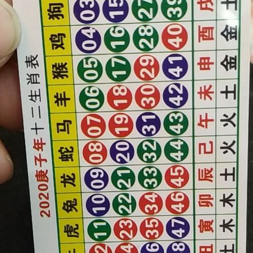 今期特肖二九正确数字,今期生肖二九开是什么数字