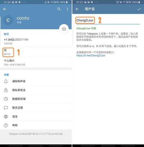 telegeram用哪个加速器,telegraph官网入口加速器