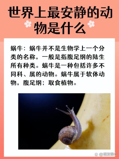 最安静的动物脑筋急转弯,你知道最安静的动物是什么吗