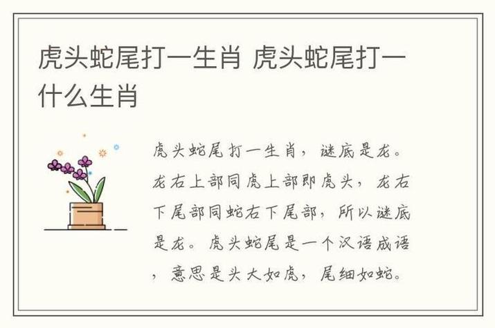 寻字打一生肖,寻字打一生肖最佳答案