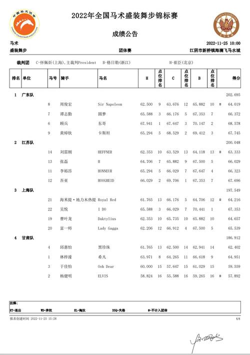 马术盛装舞步赛,马术盛装舞步评分标准