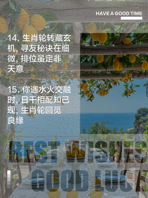 排位生肖寻知己什么意思,排位生肖寻知己指什么生肖