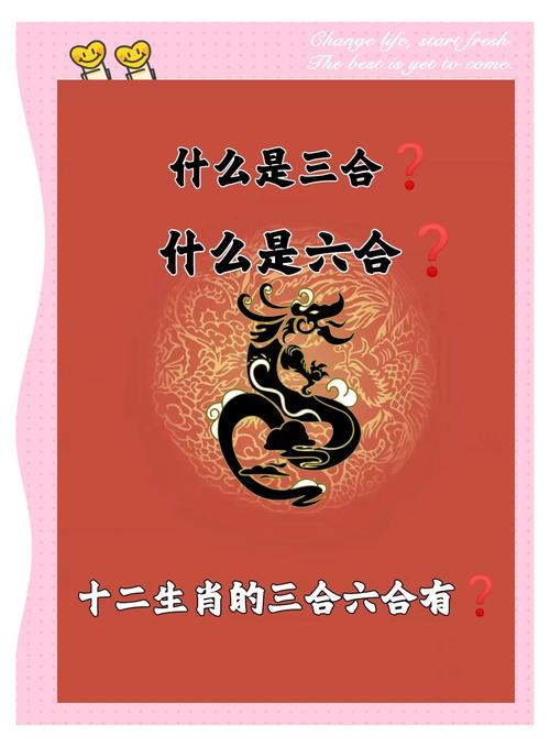 呼朋唤友最精准的生肖,呼朋唤友最精准的生肖是什么
