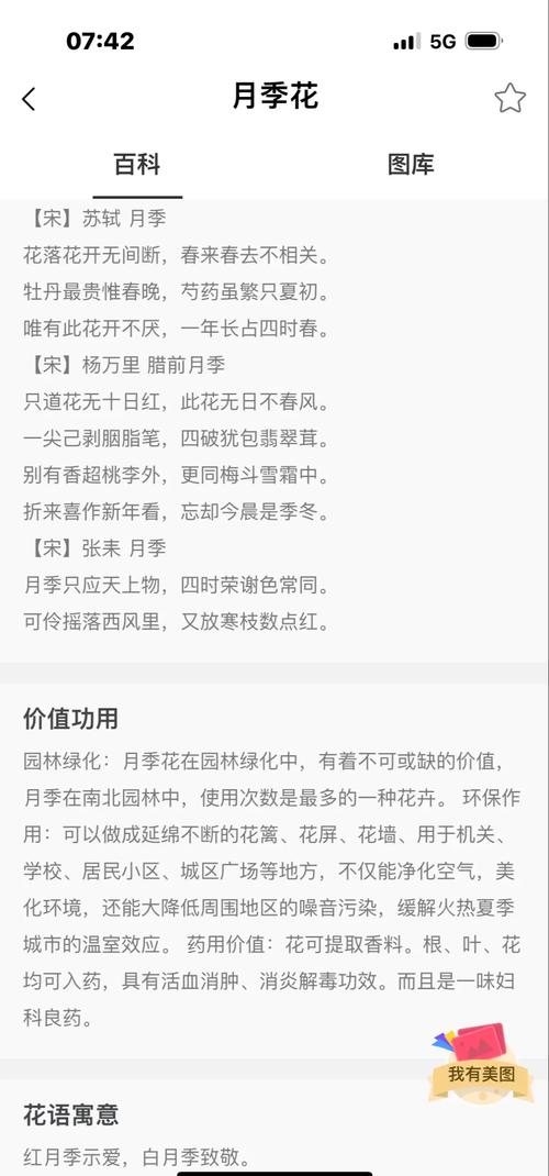 关于花季年华打一数字是什么的信息
