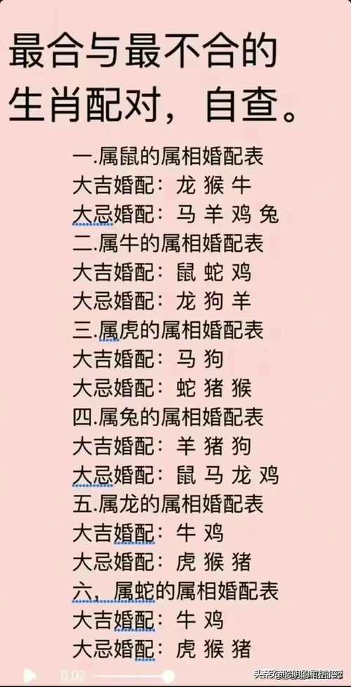 生肖相合和不合的属相,生肖相合和不合的属相是什么