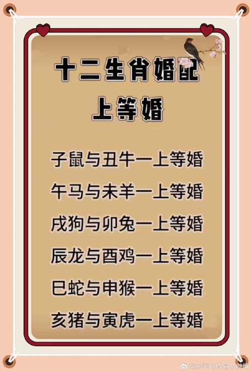 今日什么生肖2021年,今日什么生肖2021年结婚好