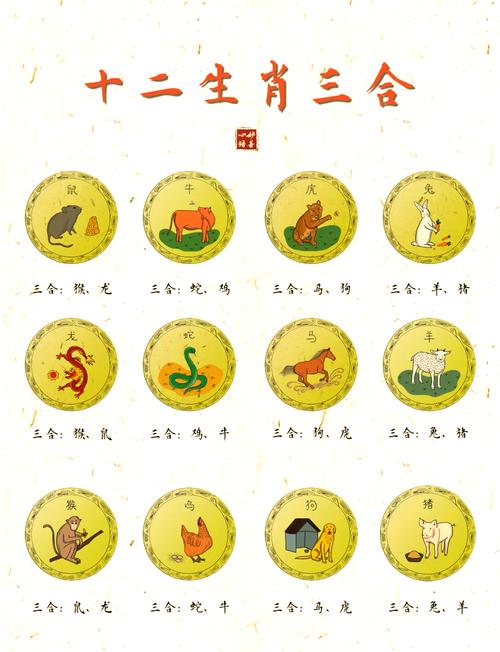 正确生肖组合有哪些,正确生肖组合有哪些动物
