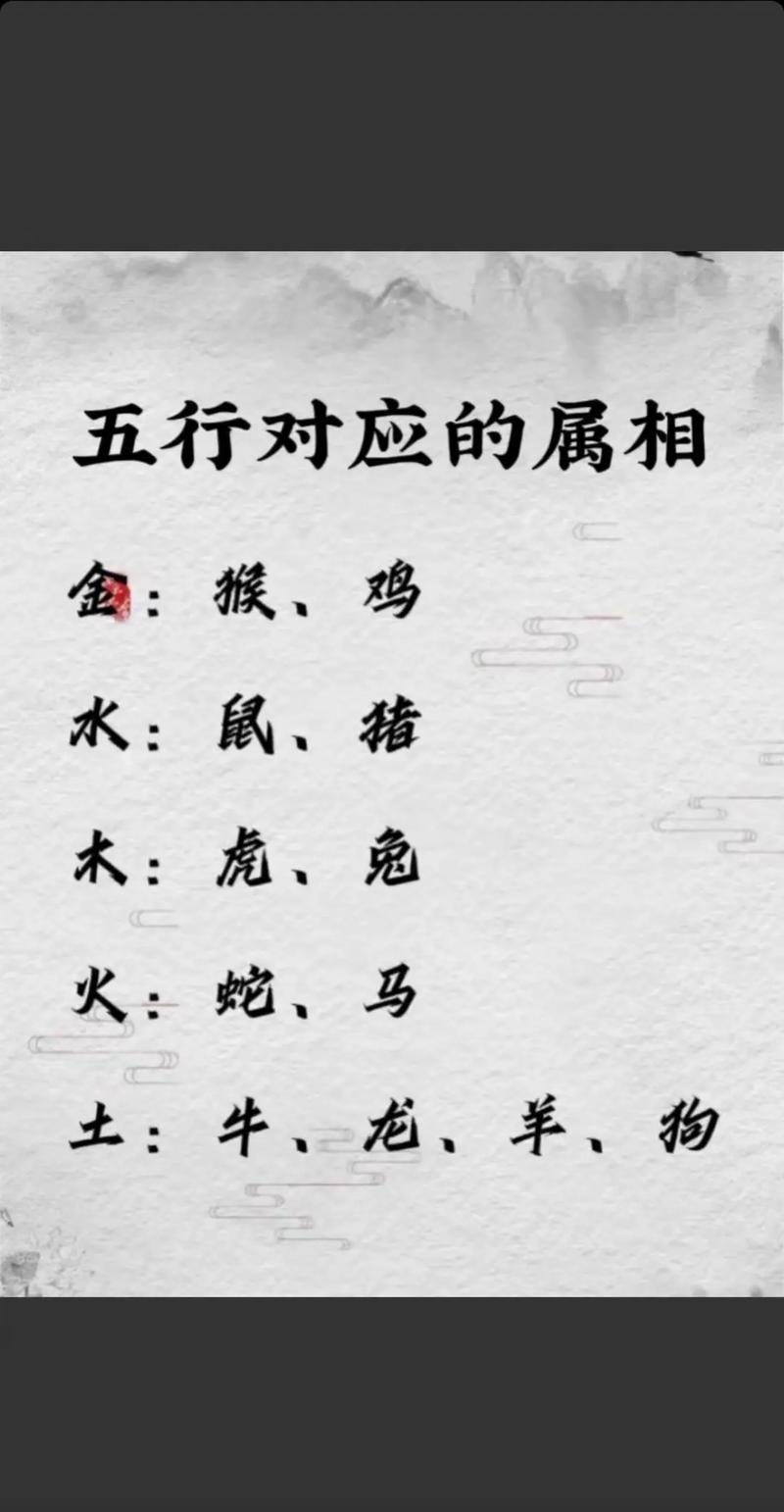 进序正确生肖答案,进代表什么生肖或数字
