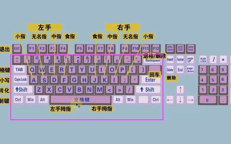 准确怎么打,准确拼音怎么读
