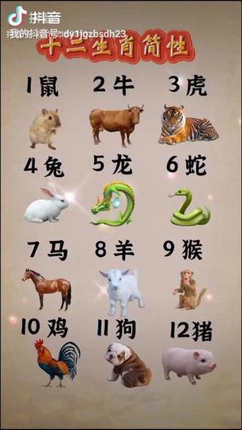 今晚打一生肖动物,今晚一个生肖是什么