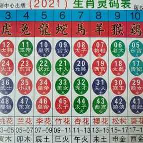 澳门49码生肖表,2025完整生肖表图