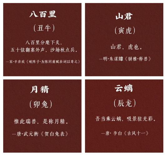 十二生肖的称谓大全,十二生肖的别称和雅称