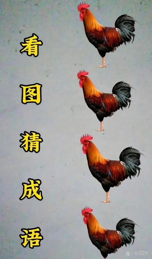 停打一动物最佳答案,天打雷鸣雨不停打一动物最佳答案