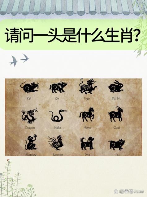 宛若新生的动物指什么生肖的简单介绍