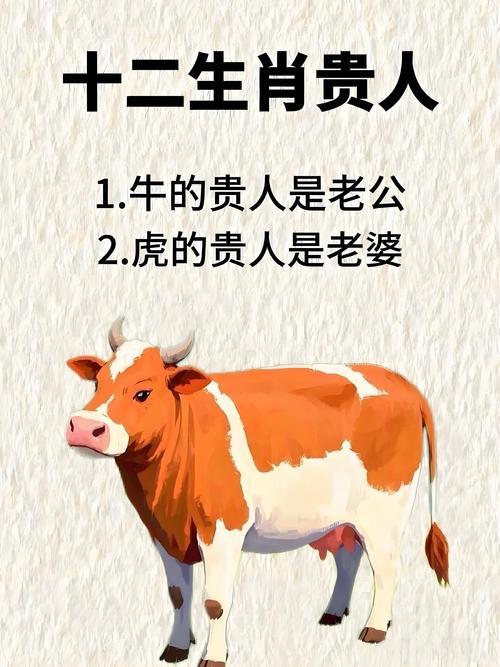 包含最贴心的人打一生肖动物的词条