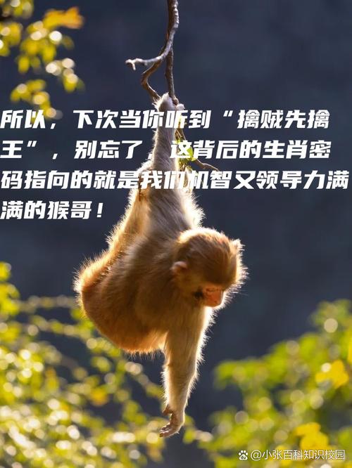 十二生肖谁站着睡觉,十二生肖谁站着睡觉迷语