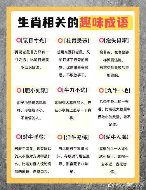 题猜一生肖是什么,题什么什么什么成语大全