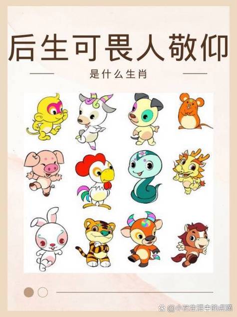 今晚出了什么生肖,今晚出什么生肖的图片