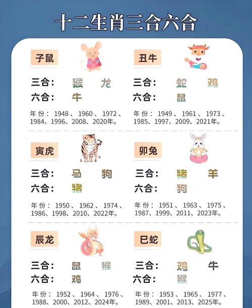 2025年十二生肖对冲对照表,2025年十二生肖全年整体运势大全