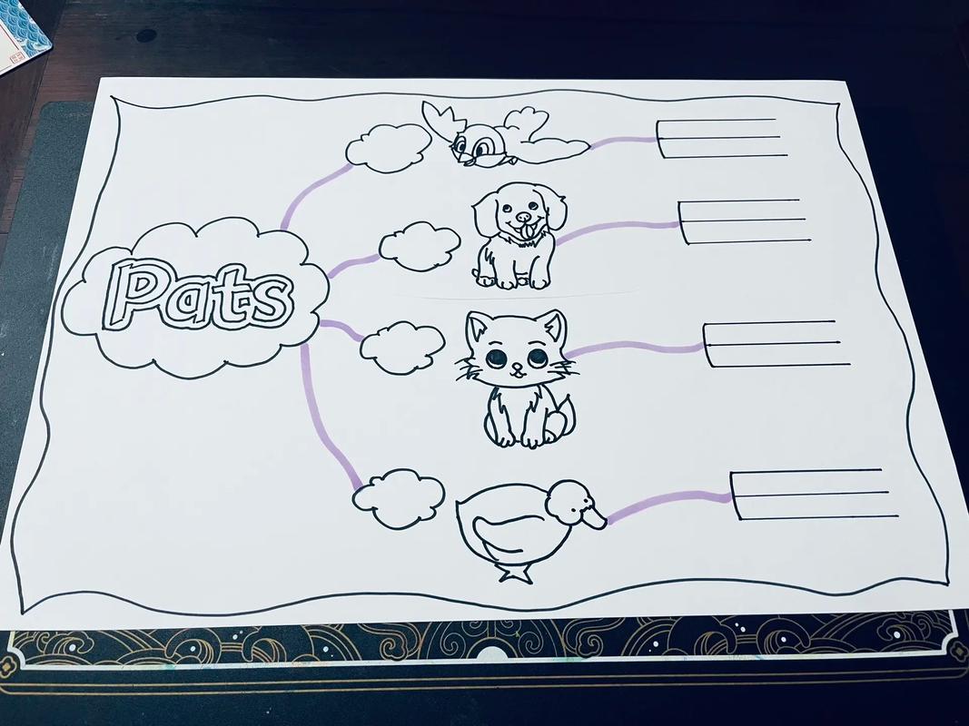动物思维导图模板图片,动物思维导图图片大全简单画法