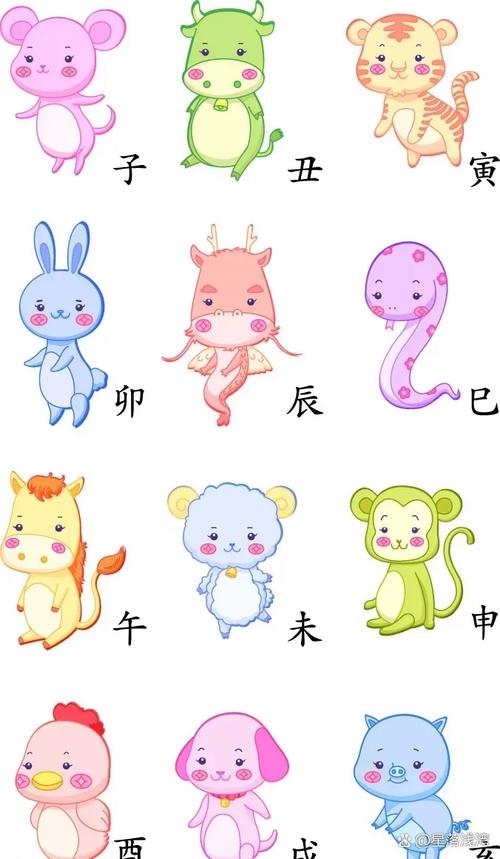 智圆行方的动物生肖,智圆行方代表什么动物