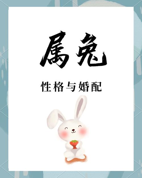 生肖兔子和什么相配,生肖兔子和什么相配最好