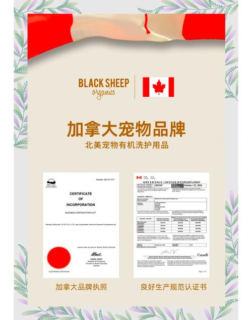 牙膏最佳答案是生肖,牙膏最佳答案是生肖为啥是羊