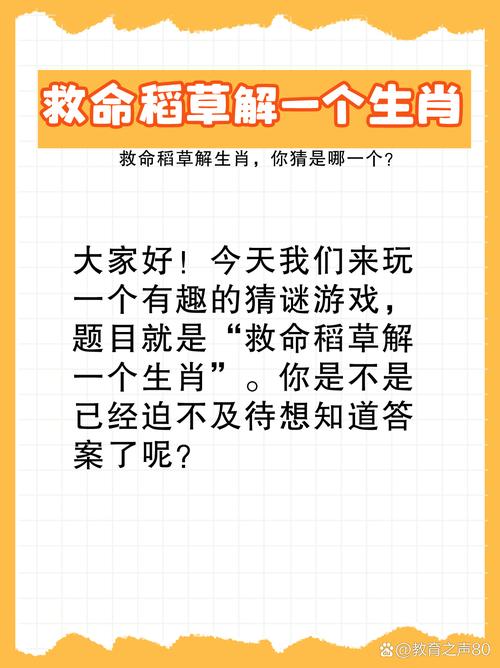 猜一个生肖最佳答案,闻鸡起舞猜一个生肖最佳答案
