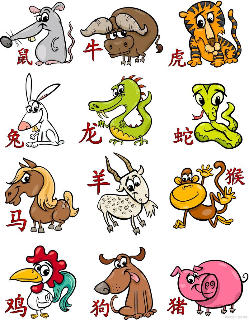 引字猜十二生肖动物,引字猜十二生肖动物有哪些