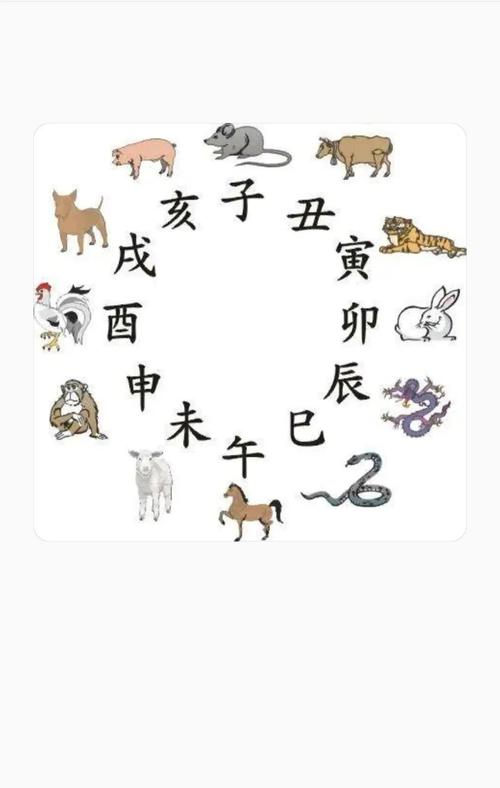今期生肖六九加正确动物,今期生肖六六来是什么动物