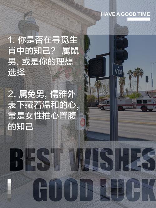 排位寻知己猜一生肖,排位生肖寻知己是什么意思