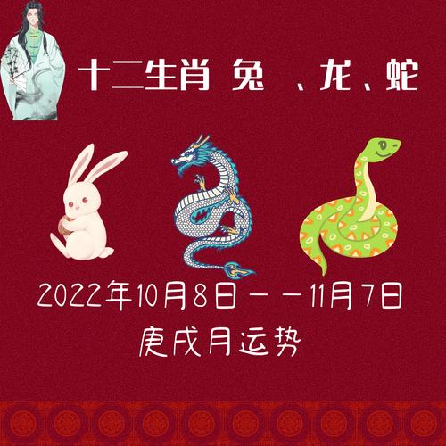 一发入魂打一最准生肖的简单介绍