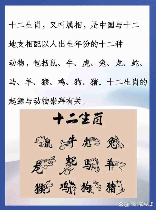 今期生肖最好找,一三不减九回头,今期生肖最好找,一三不减九回头是什么生肖