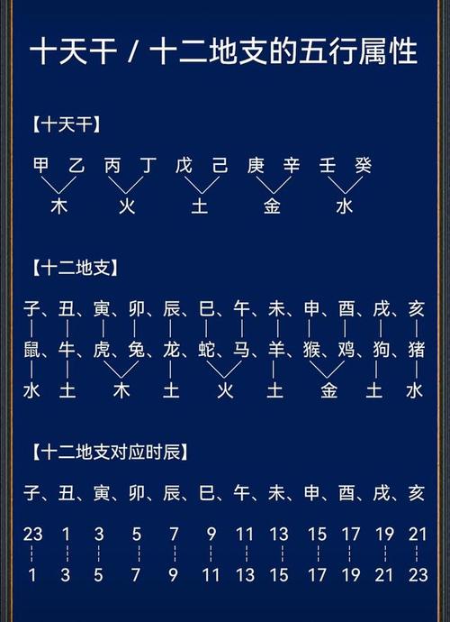 十二地支十二生肖对照表,十二地支对应的十二生肖是什么,重点诠释解释落实