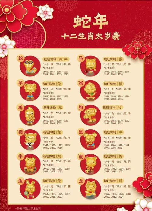 2025年12生肖49码图,2025年十二生肖49码对照图,重点诠释解释落实