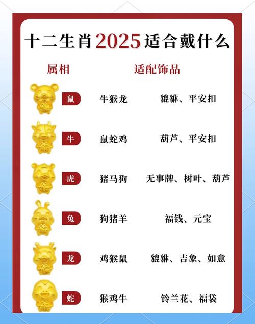 生肖码数对照表,生肖码数对照表2025,重点诠释解释落实