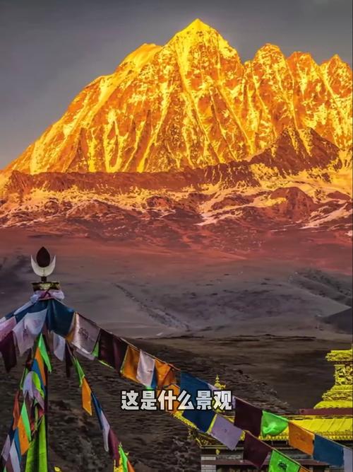 壮丽景观打一动物,壮丽景观的意思是什么，重点诠释解释落实