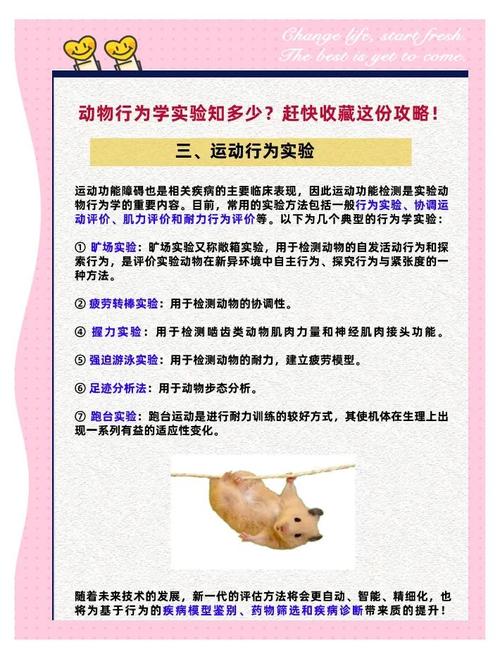动物实验的方法,动物实验方法如何预防动物手术中可能的细菌感染，重点诠释解释落实