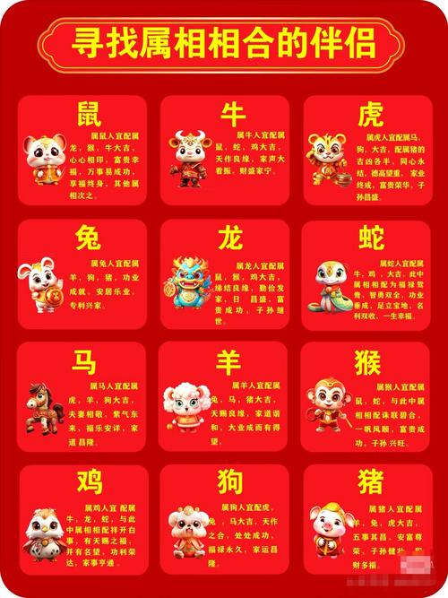 十二属相对照表,十二属相对照表表,重点诠释解释落实