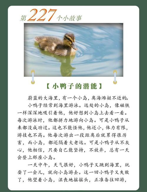 打一动物小鸭,小鸭子打一个数字,重点诠释解释落实
