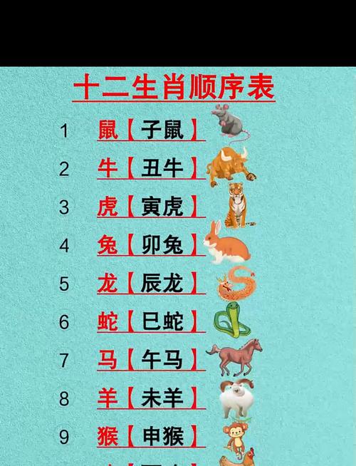 什么生肖最准时,什么生肖准时准点，重点诠释解释落实