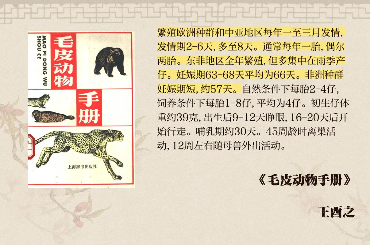 名门望族的动物有哪些,名门望族的动物有哪些呢，重点诠释解释落实