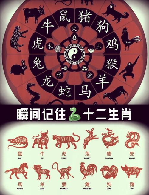 十二生肖最美丽的动物,十二生肖最美丽的动物图片,重点诠释解释落实
