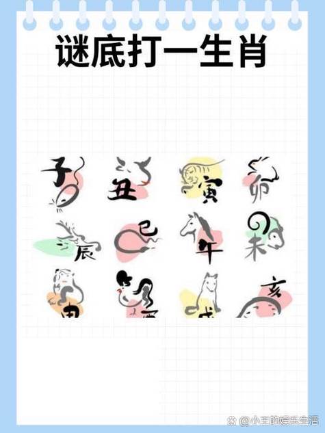 生肖谜语,生肖谜语英语,重点诠释解释落实